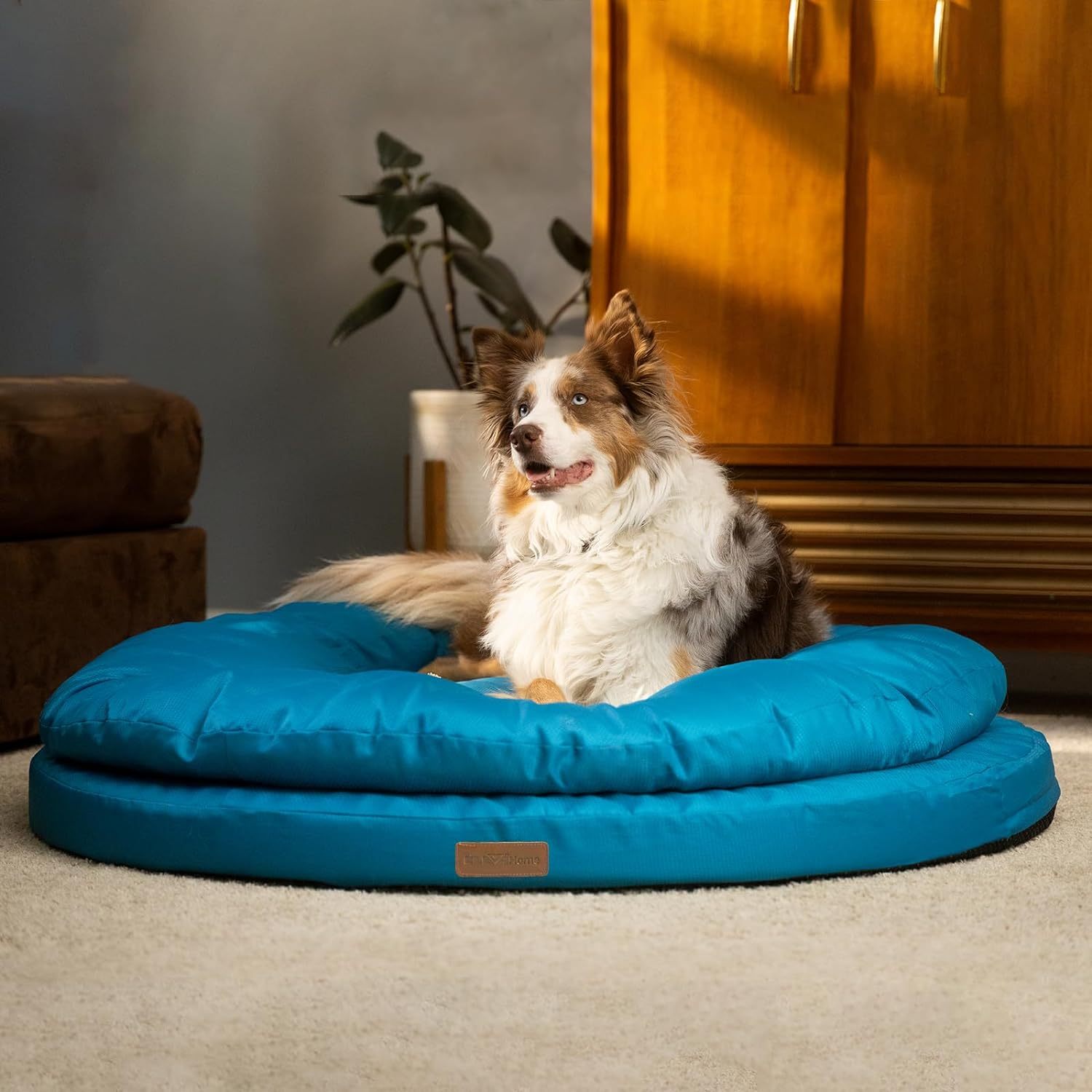 TEMU Orthopedic Bed By Clevahome For Large Dogs - Double Layer High Quality Pet Bed With Washable Cover, Anti-slip Base, Supportive Cushion For Joint Relief, Spring & Easter Pet Gift Idea