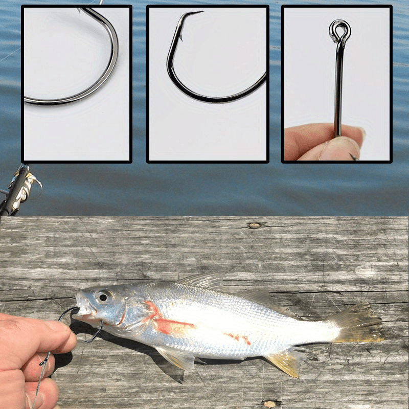 best rod for daiwa saltist inshore Daiwa Saltist Coastal Inshore Spinning Rod