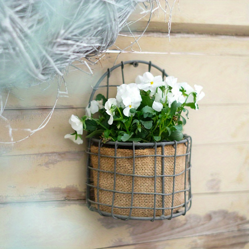black cherry birkin philodendron Philodendron Birkin main image 0