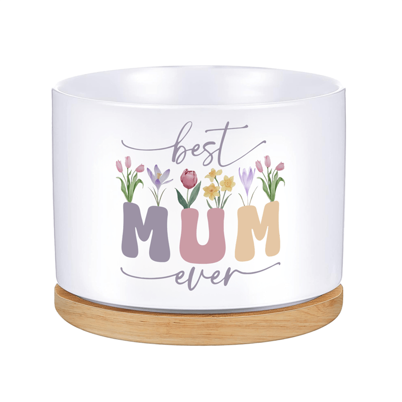 Image of Contemporary Ceramic Planter Vase With Bamboo Tray, Ever Succulent Pot, Cylinder Desk Decor For Mothers, Mini Pot Gift With Drip Hole - 1 Pack