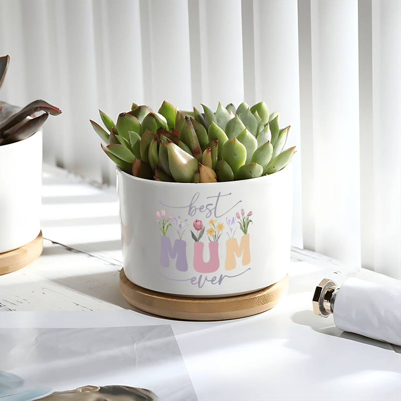 Zeitgenssischer Keramik-bertopf mit Bambus-Tablett * Mama * *  Sukkulententopf, Zylinder-Schreibtischdekoration fr * Mini-Topfgeschenk  mit Abtropfloch - 1 Packung
