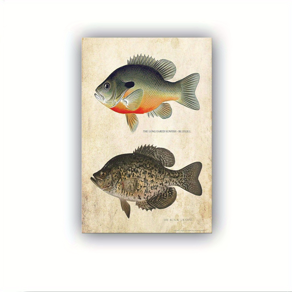 

1pc Wood Frame Wall Painting Ready To Hang Signing Of Bluegill Crappie Fish Poster Wall Art For Living Room Hallway Decor Prints