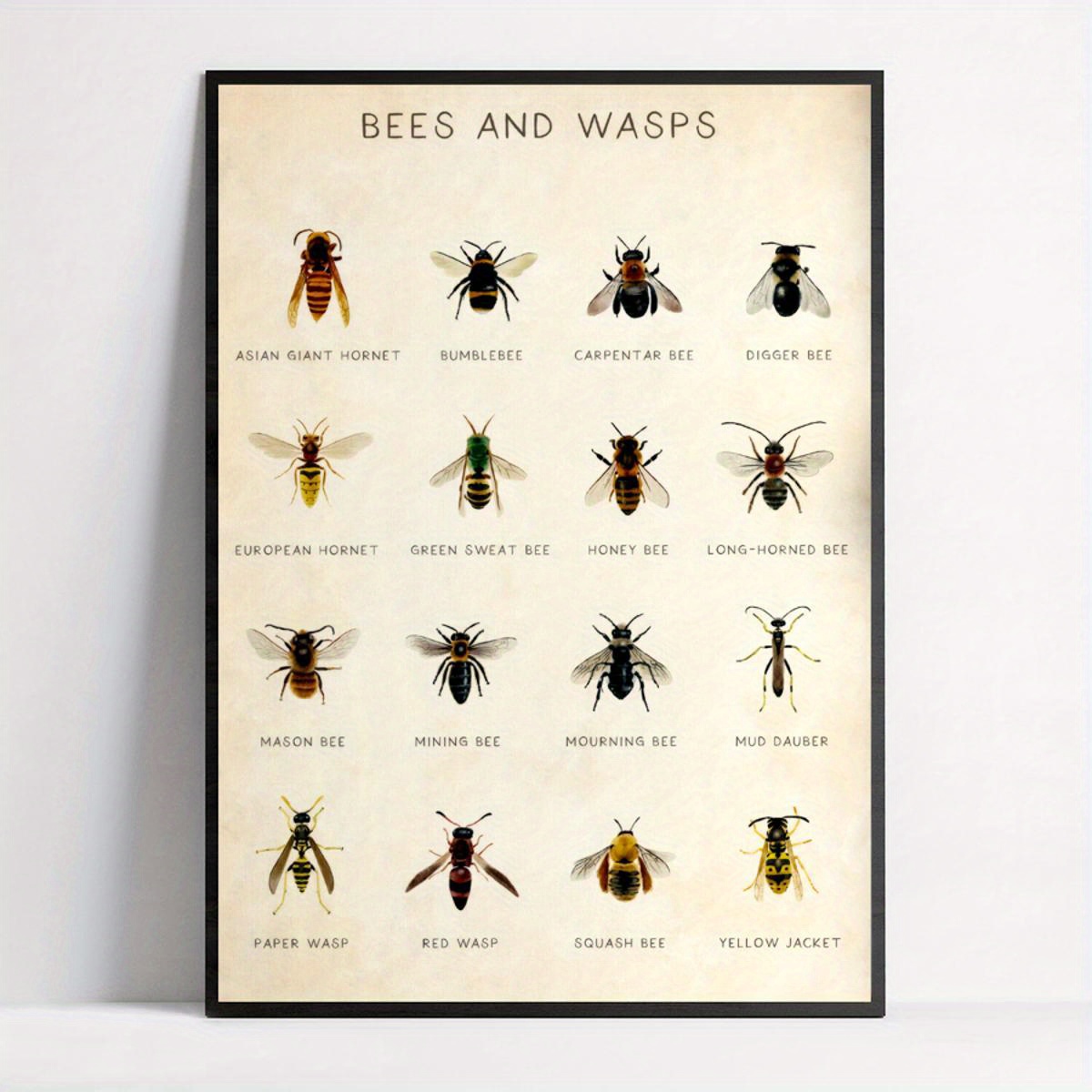 Types Of Bees Poster