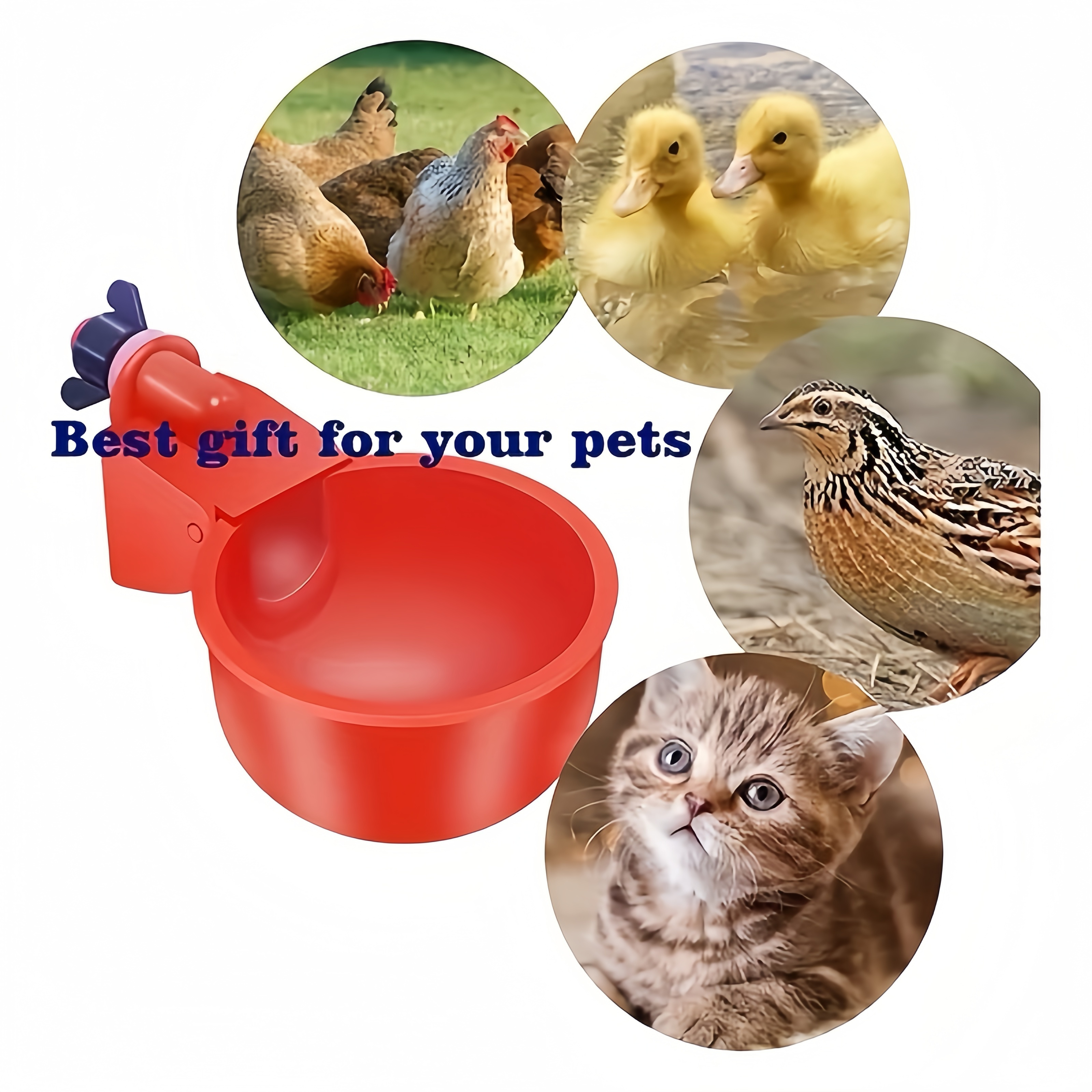 

10pes, Pet , Pet , Feeding Bowl, Waterer, Poultry Feeder And , Fully , Battery