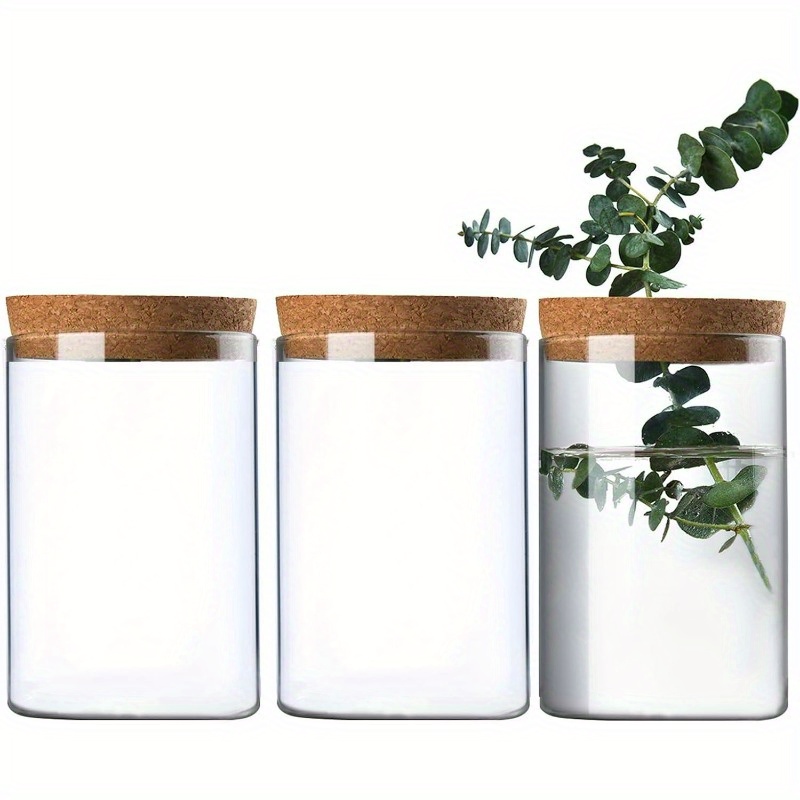 

Elegant Glass Planter With Wooden Cork Lid And Bamboo Stand, Indoor And Outdoor Use - Ideal For Moisture- Plants And Cut Flowers - A Stylish Gift For Plant Lovers