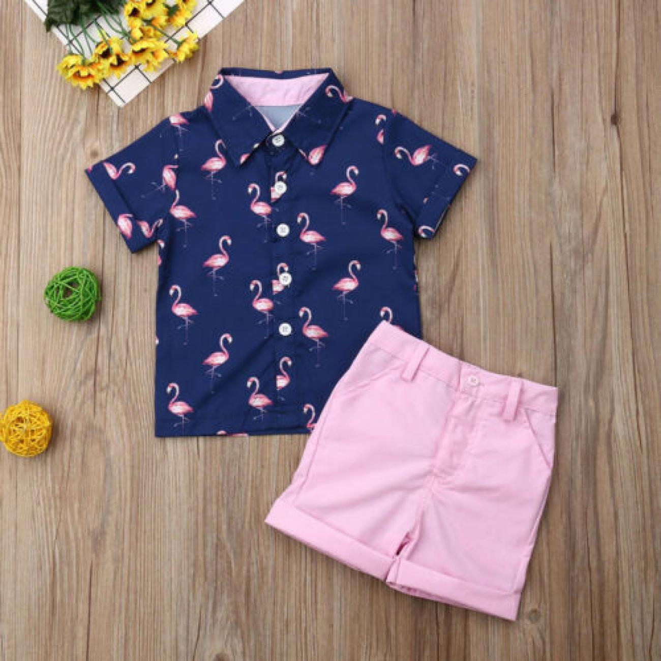 

Littler Baby Boys Clothes Set, Summer Kids Flamingo Print Shirt Top+solid Shorts
