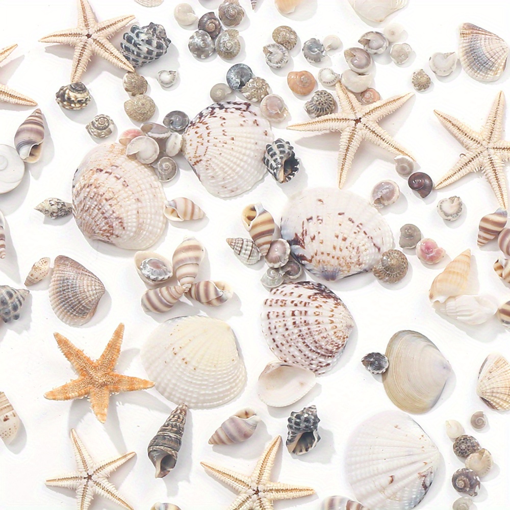 

Mini Seashells And Starfish For Crafting - Small Shells For , Animal Figures, Photo Frames, Home Decor, Beach Theme Parties, Wedding Decorations, Fish Vase Filler, 740/1000pcs, Tiny Sea Shells