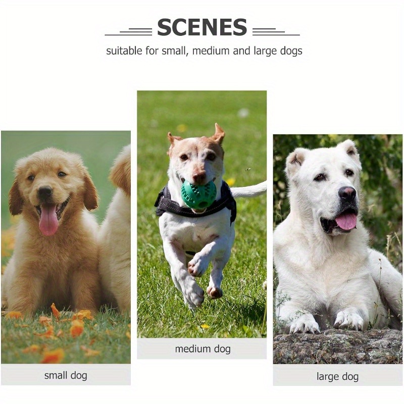 hundeanhnger etiketten hunde namensschild hunde - Temu Germany
