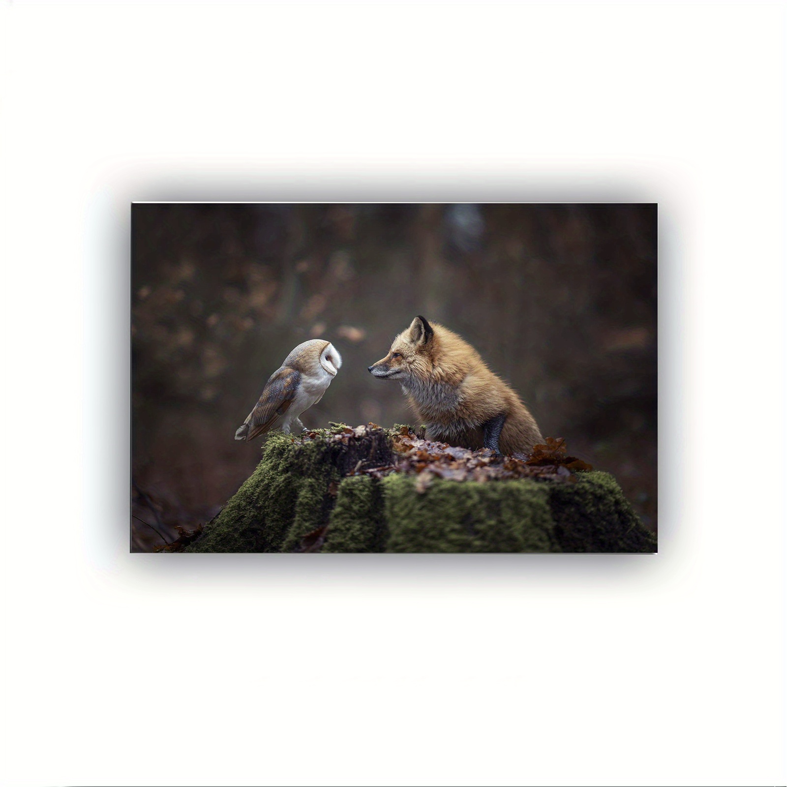 

1 Pc Wooden Framed Wall Art, Wildlife Owl And Fox - Canvas Printing Poster, Artwork Wall Painting For Gift, Home Living Room Office Cafe Wall Decor, Perfect Gift And Home Decoration