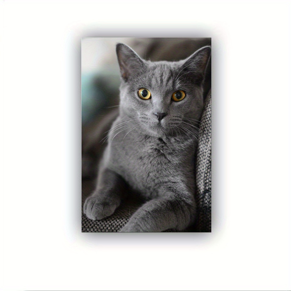 

1 Pc Wooden Framed Wall Art, Can Be Hung Directly Gray Russian Blue Cute Cat Poster Room Decor Art Stretched And Framed Ready To Hang Picture Room Decor Art Stretched And Framed Ready To Hang - Framed