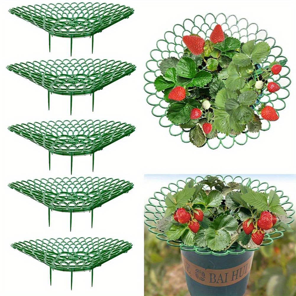 

5/10pcs Strawberry Plant Supports With 3 Sturdy Legs Strawberry Growing Racks Protector Frame Holder Cage From Mold Rot Dirt