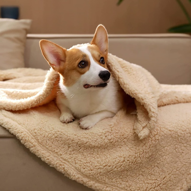 

Double- Pet Blanket Universal Cat And Dog Blanket Mat