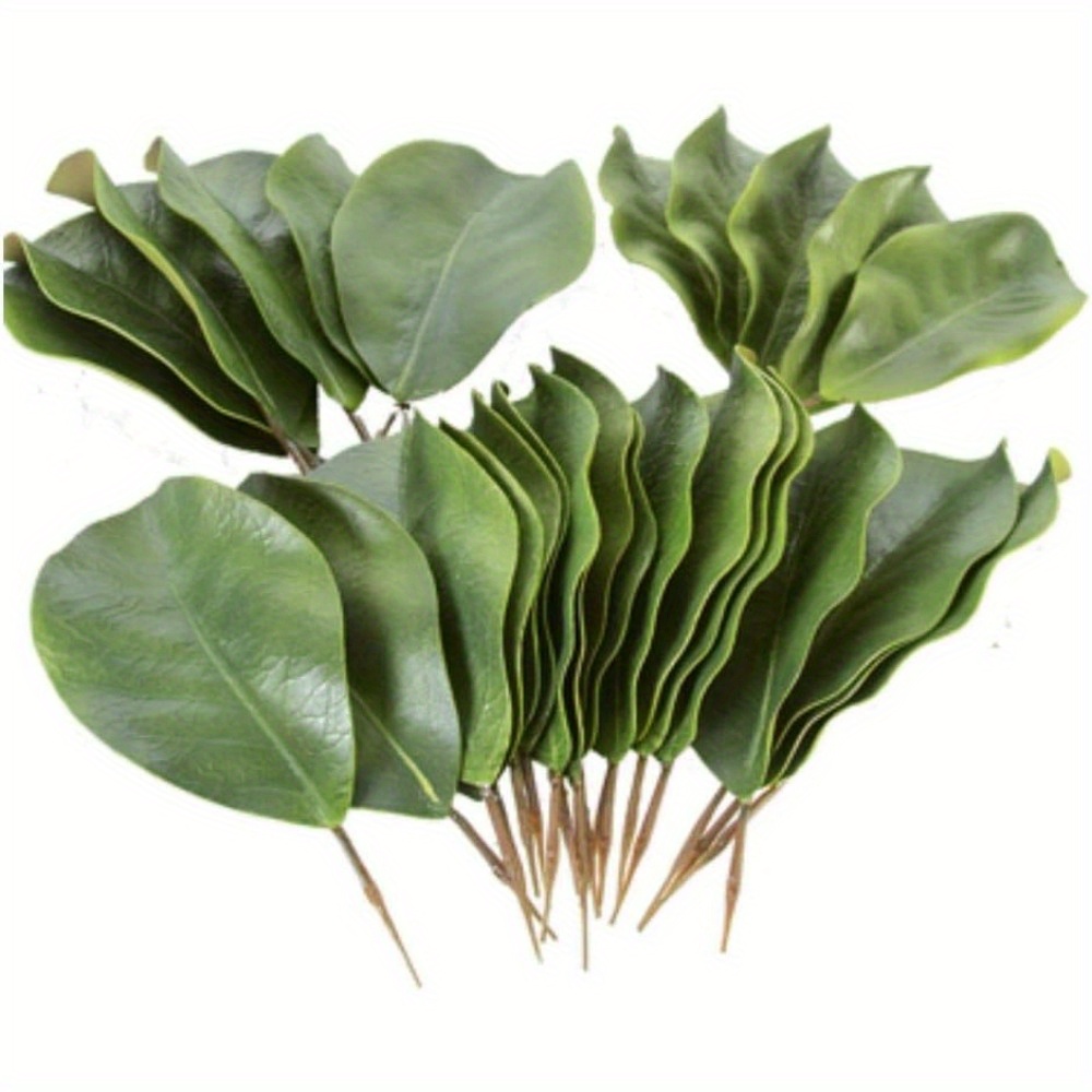 

Artificial Magnolia Leaves Pack Of 30 Leaves