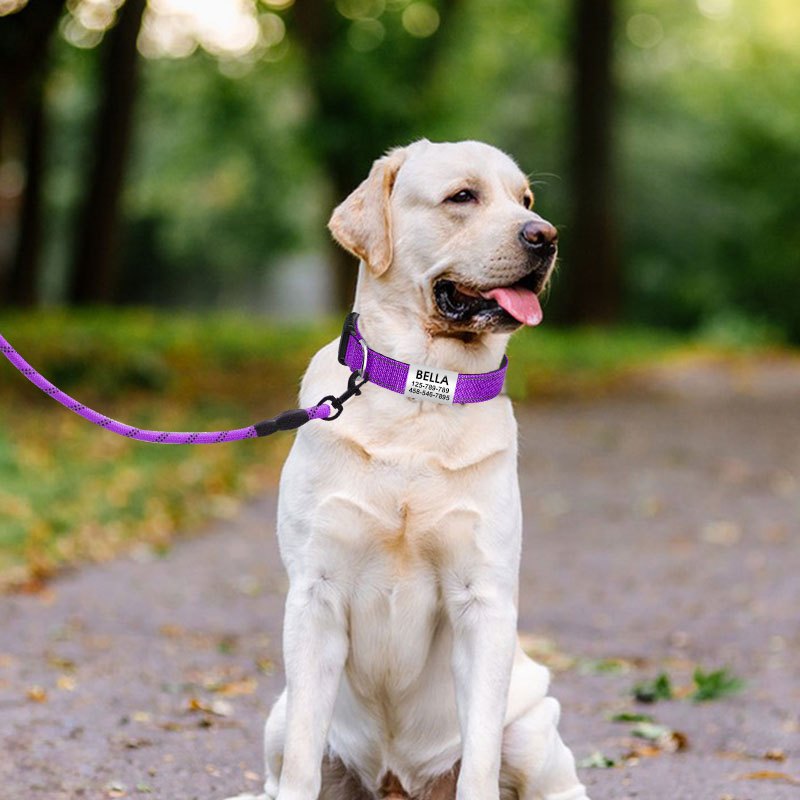 Personalized Reflective Nylon Dog Collar with Name Tag