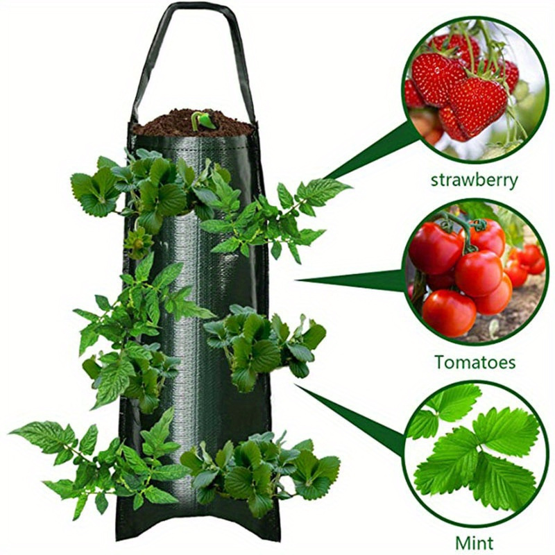 TEMU Strawberries With This 8-hole Hanging Grow Bag!
