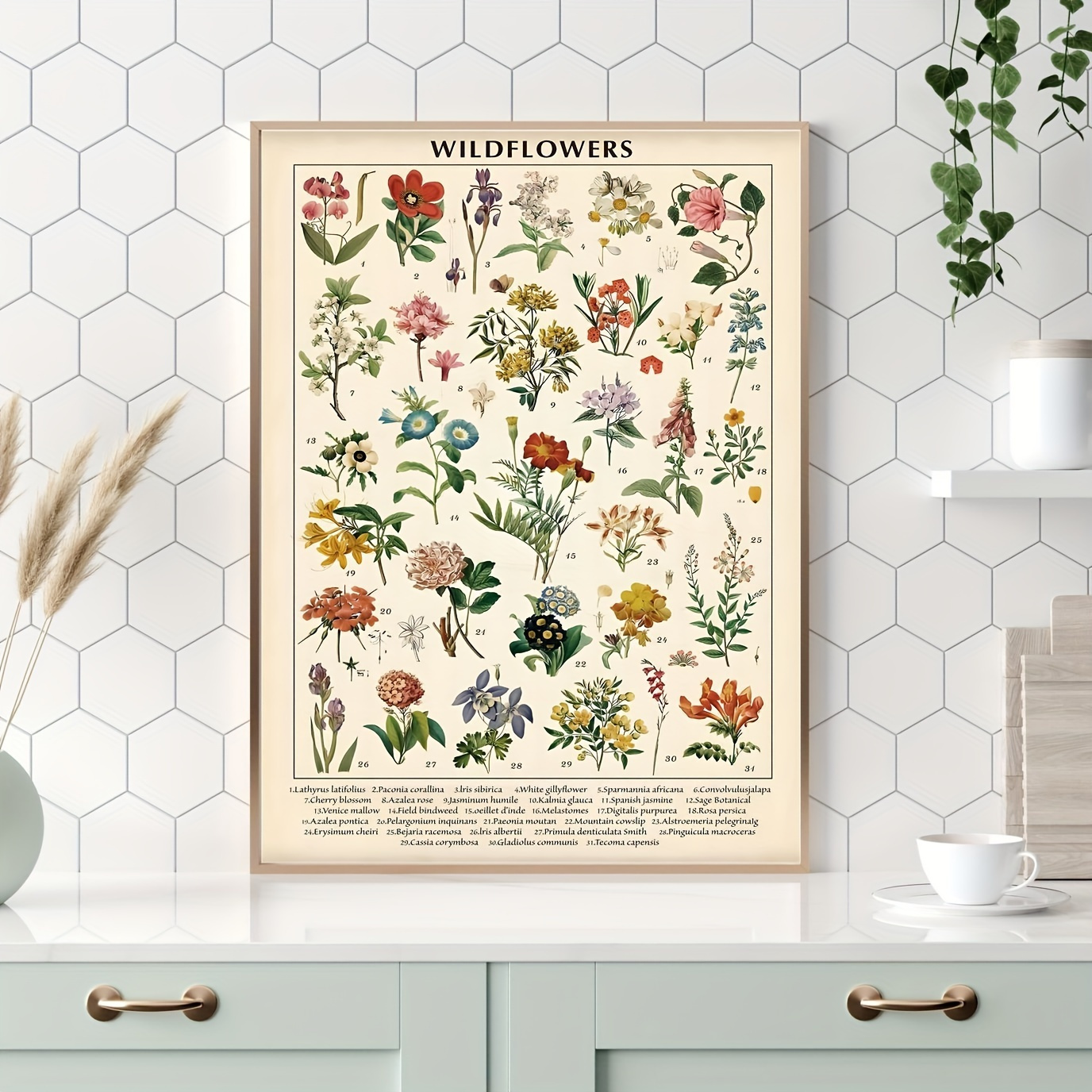 

1pc Educational Vintage Wildflower Chart Print Poster, Botanical Canvas For Bedroom, Office, Living Room, Home & Classroom Decor