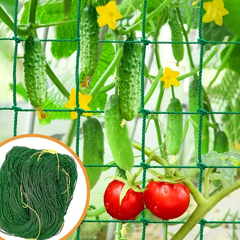 

1pc Pe Netting For Plants, & - Tool