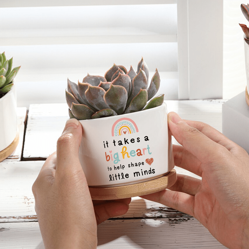 teacher appreciation gift ceramic planter bamboo tray - Temu