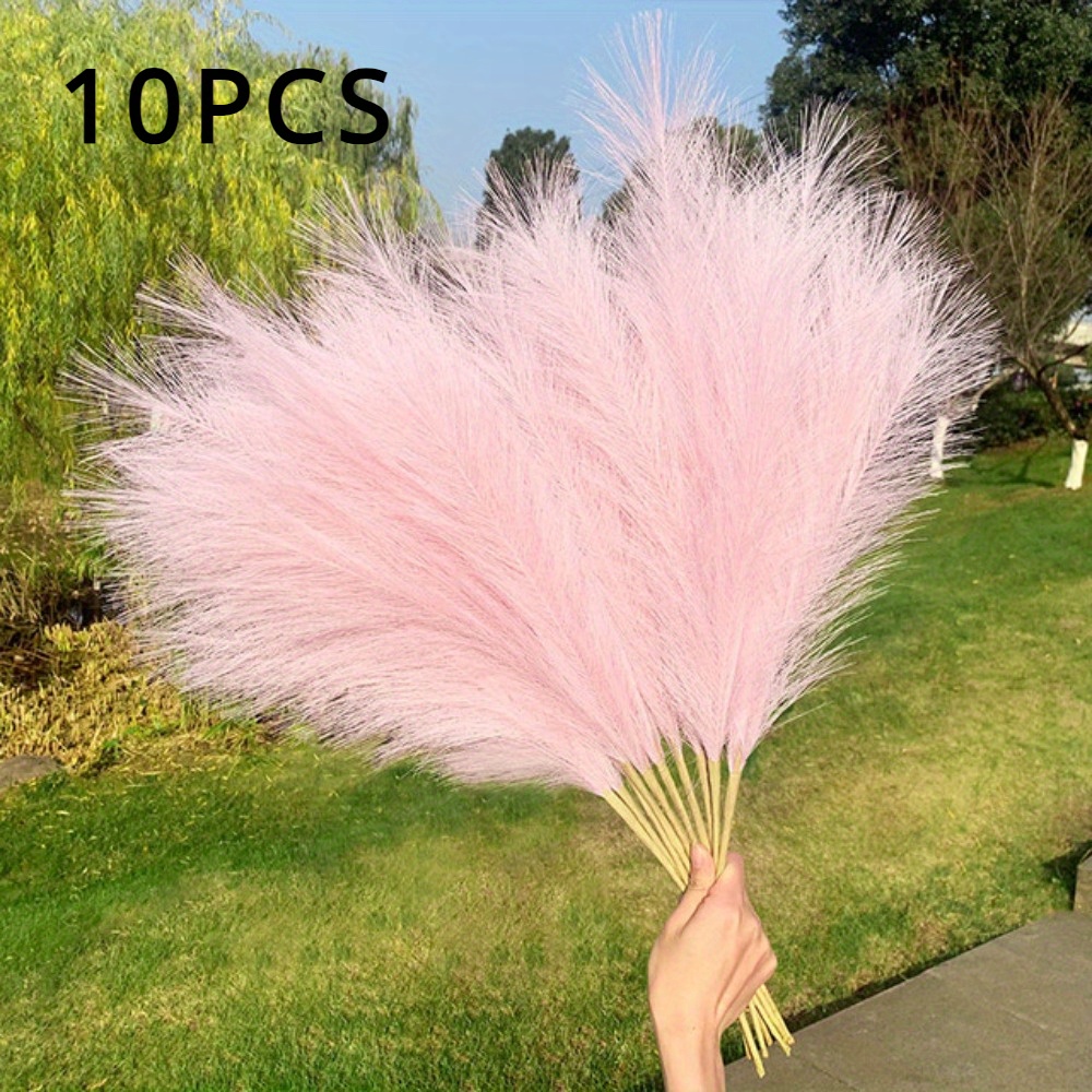 

10 Of Pampas For - For Dates And Parties