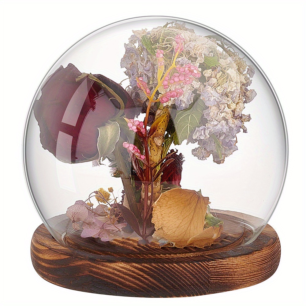 

Globleland Glass Dome Cloche Display Case With Wood Base, 1pc - Decorative Clear Bell Jar Terrarium For Jewelry Display & Packaging, Gift Boxes - No Power Supply Needed