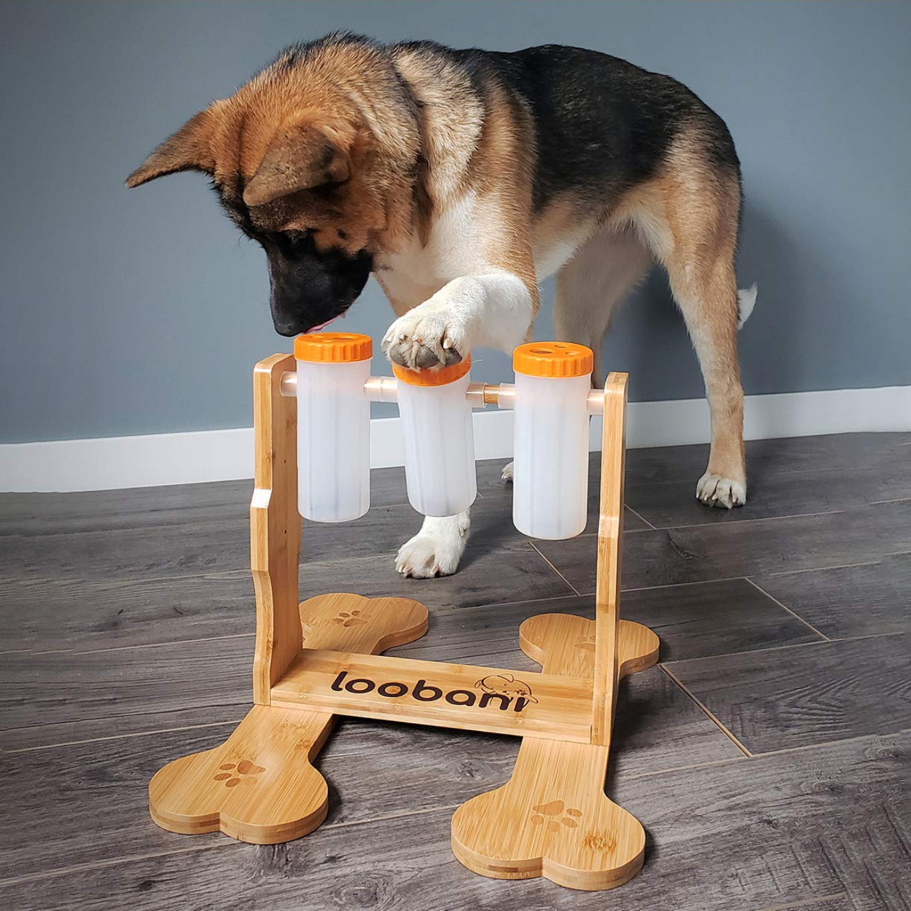 hard dog puzzle toys