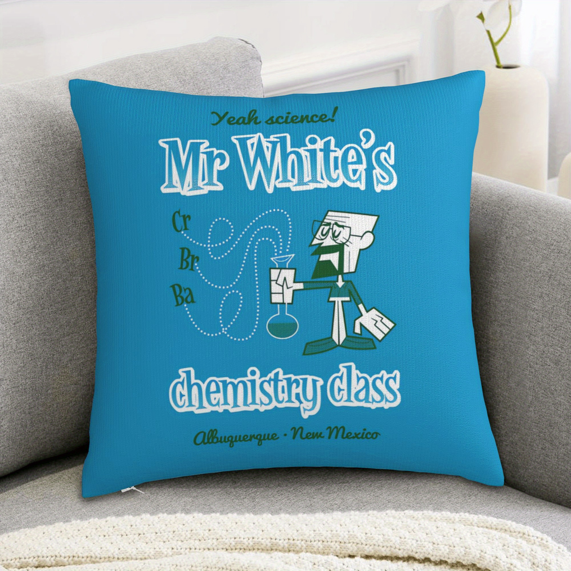 

1pc Xmsj Mr. Class Throw Pillowcase - Soft Short Plush 18x18 Inch, Double-sided Tv Show , & Machine Washable, Zipper Closure - Science Enthusiasts