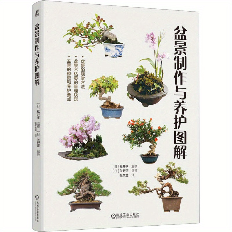 bonsai-herstellung chinesische version | Temu Germany