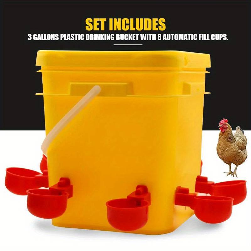 5 Gallon Chicken Waterer For Winter, Heated Chicken Qatar