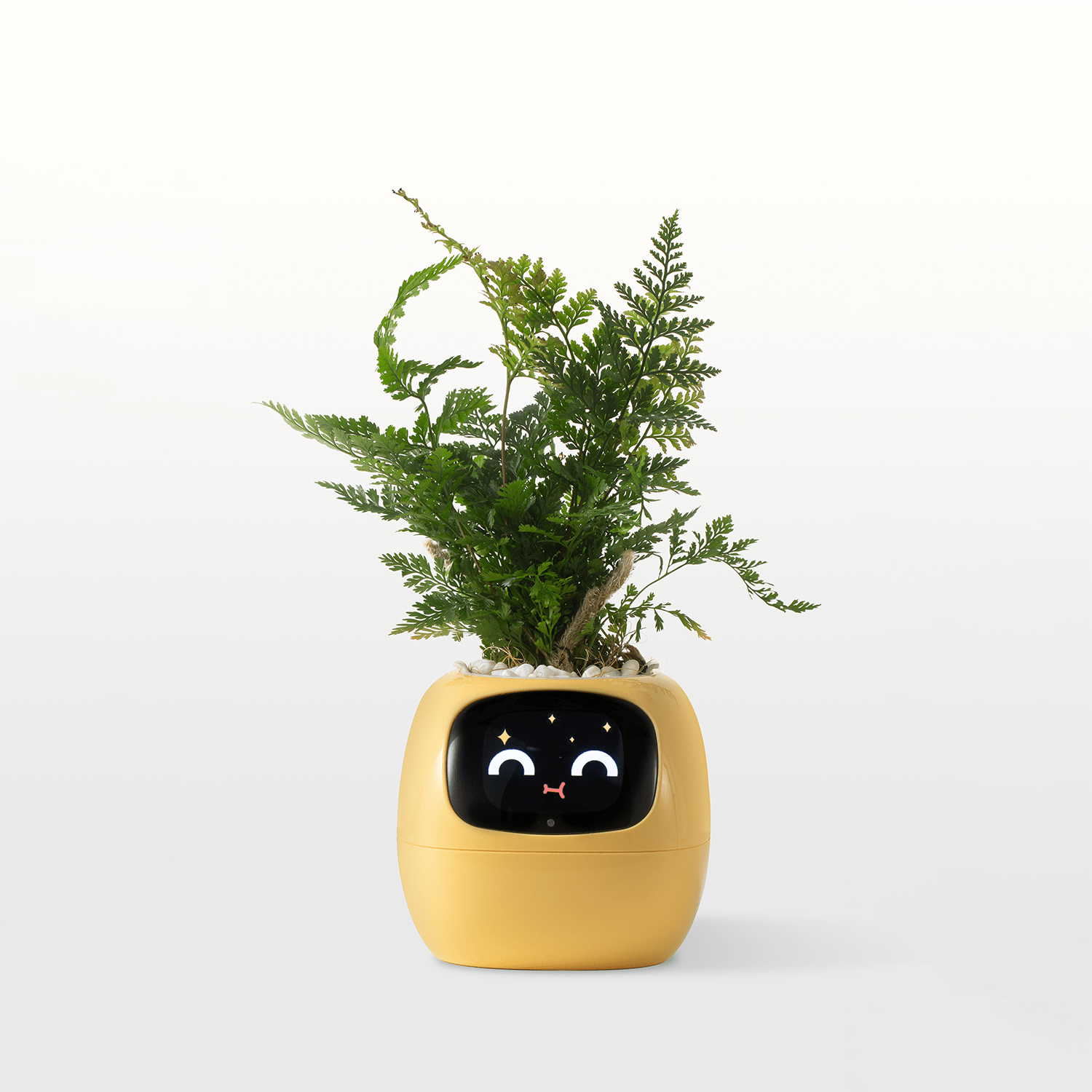 PlantsIO Ivy - Smart Flowerpots, Endless Fun Over 49 rich expressions, 7 smart sensors, and AI chips make raising plants easy and fun Smart Flowerpots, with Artificial Intelligence, Time Temperature Display, and Numerous Expressive Animations