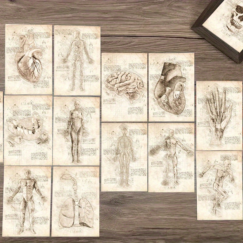 

20pcs Skeleton Art Cards Set - 4x6" Decorative Human Anatomy & Bone Prints For Bedroom, Living Room, Home Office - Wall Stickers & Postcards