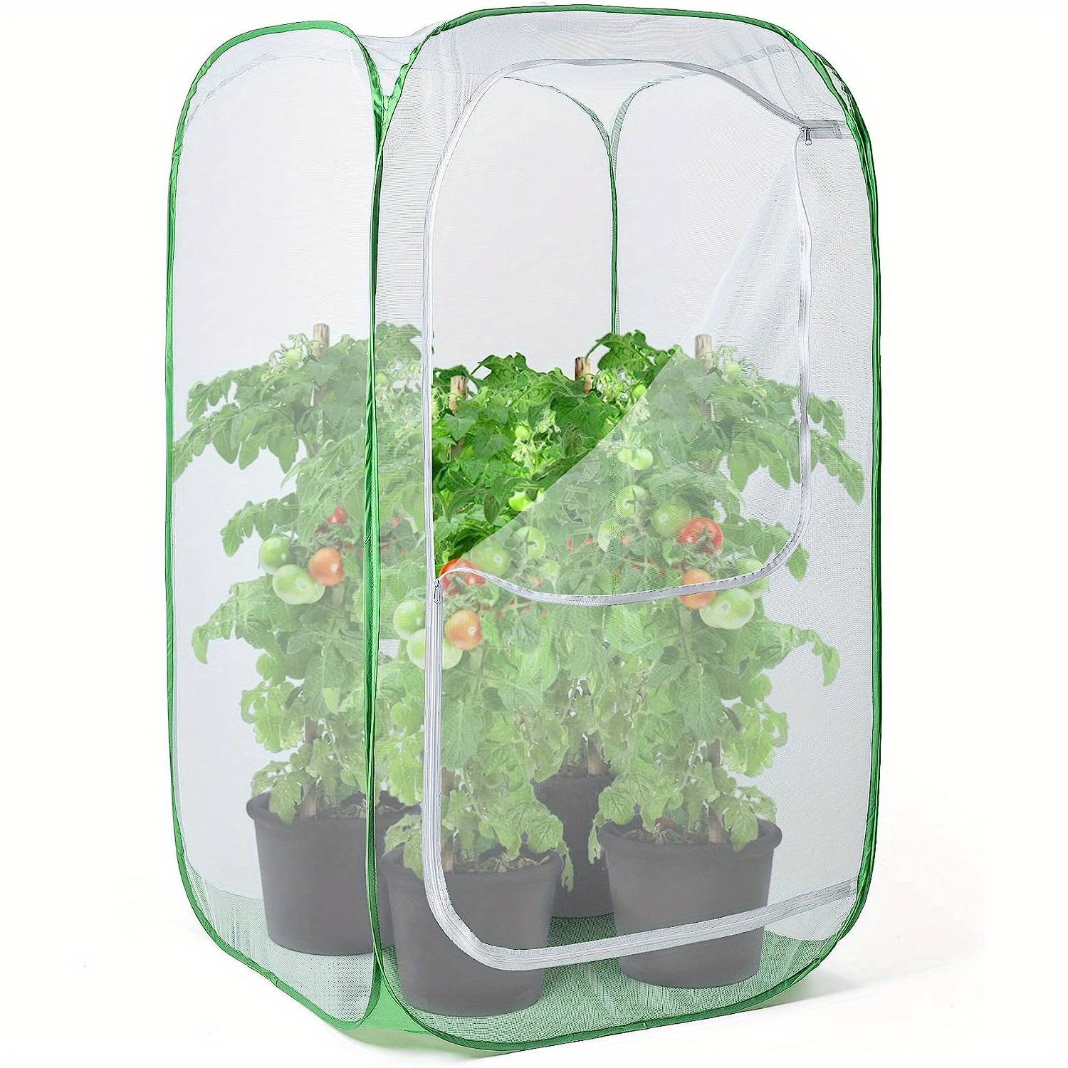 

Enclosure 36" - Pest & For Fruits, Vegetables, & , , 24x24x36