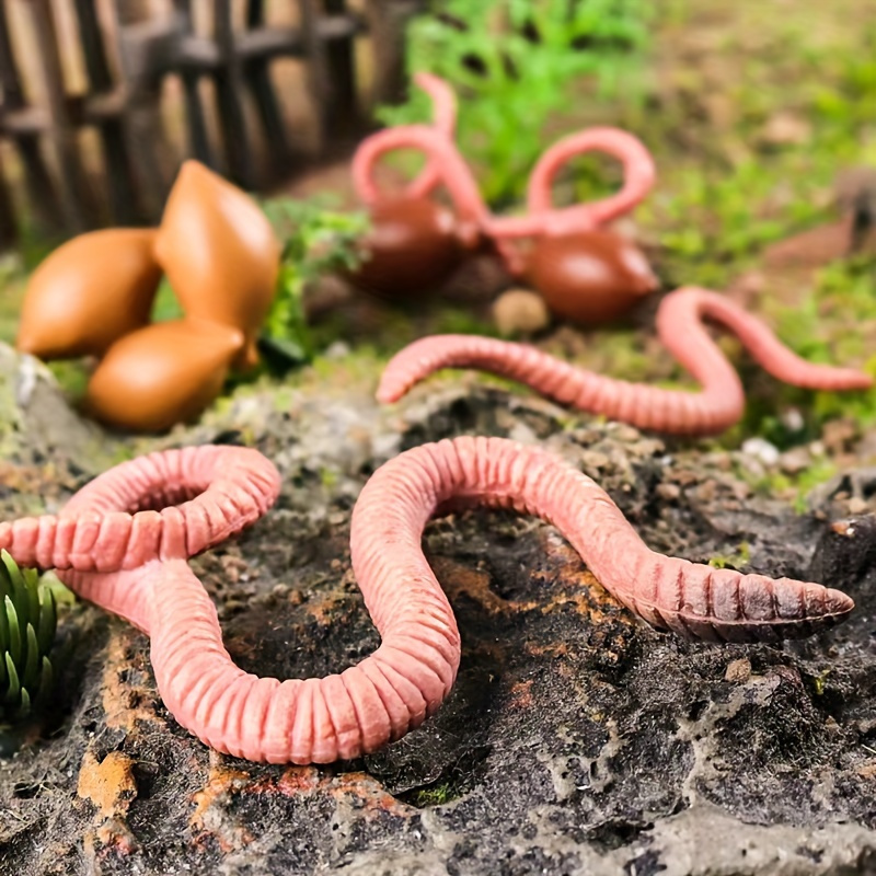 Image of Set Of 4 Miniature Animal Models Representing Cycle Of Earthworms, Ideal For Educational Purposes, Picture Recognition, Or As Decorative Gifts