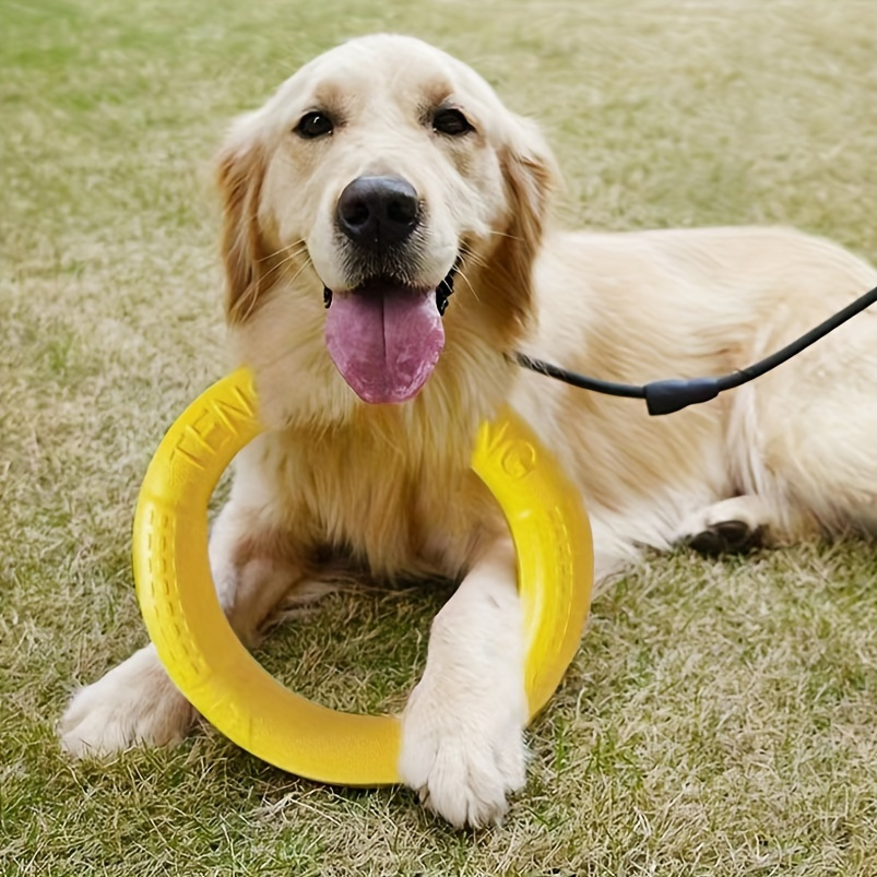 

Durable Dog Training Ring, 1-pack - Interactive Indoor Play And Exercise Toy For Fetch, Catch, Pool Activity - Ideal For Aggressive Chewers - Non-toxic Plastic, No Battery Required