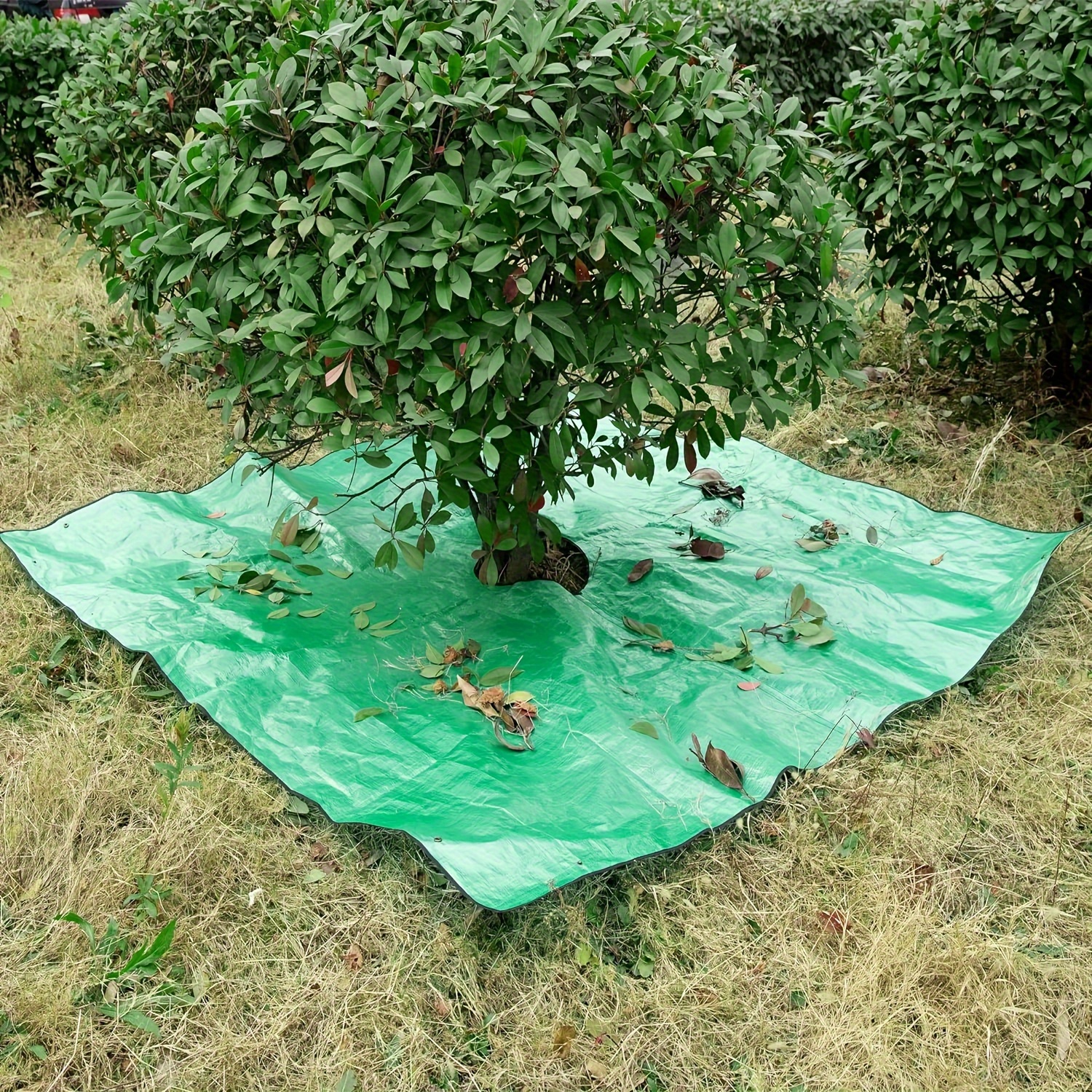 

Waterproof Pe Landscape Tarp 78.74" X 78.74" - Reusable Garden Cover With Corner Buckles For Tree & Shrub Pruning, Ideal For Yard Waste Collection