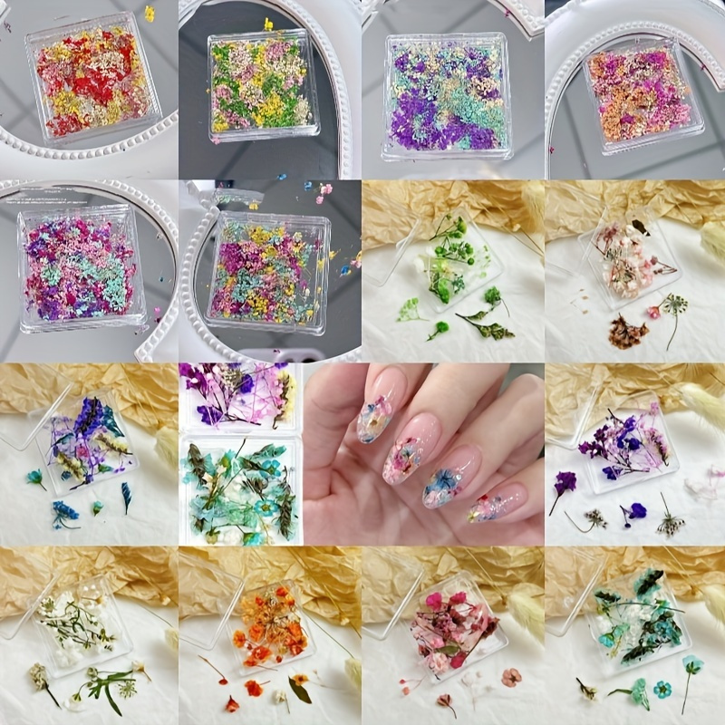 

14 Boxes 3d Dried Flowers For Nails Nail Art Stickers 1box Dried Flowers For Resin Crafts Small Natural Floral Dried Flower Decals For Summer Acrylic Nails Design Manicure Accessories