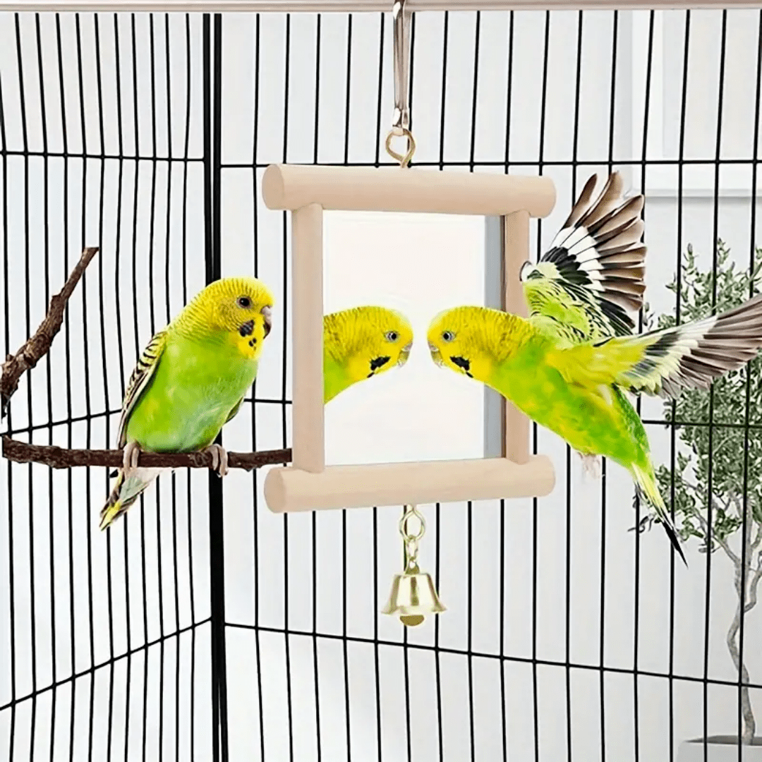 

Interactive Toy - For Parrots, Budgies, Cockatiels & Conures