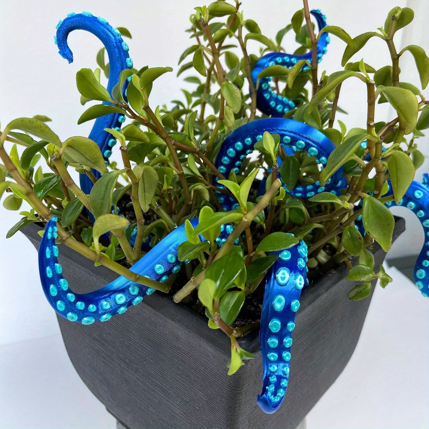 

Set Of 7 Stakes Simulated Octopus Model Plant Stakes, Octopus Diy Art Statue Decorative Garden Stakes For Plant Garden Yard Home Office Ornaments (blue)