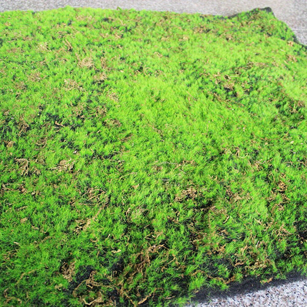 TEMU 1 Set Künstlicher Rasen Moosgrüne Pflanze Dekorative Mikrolandschaft Garten