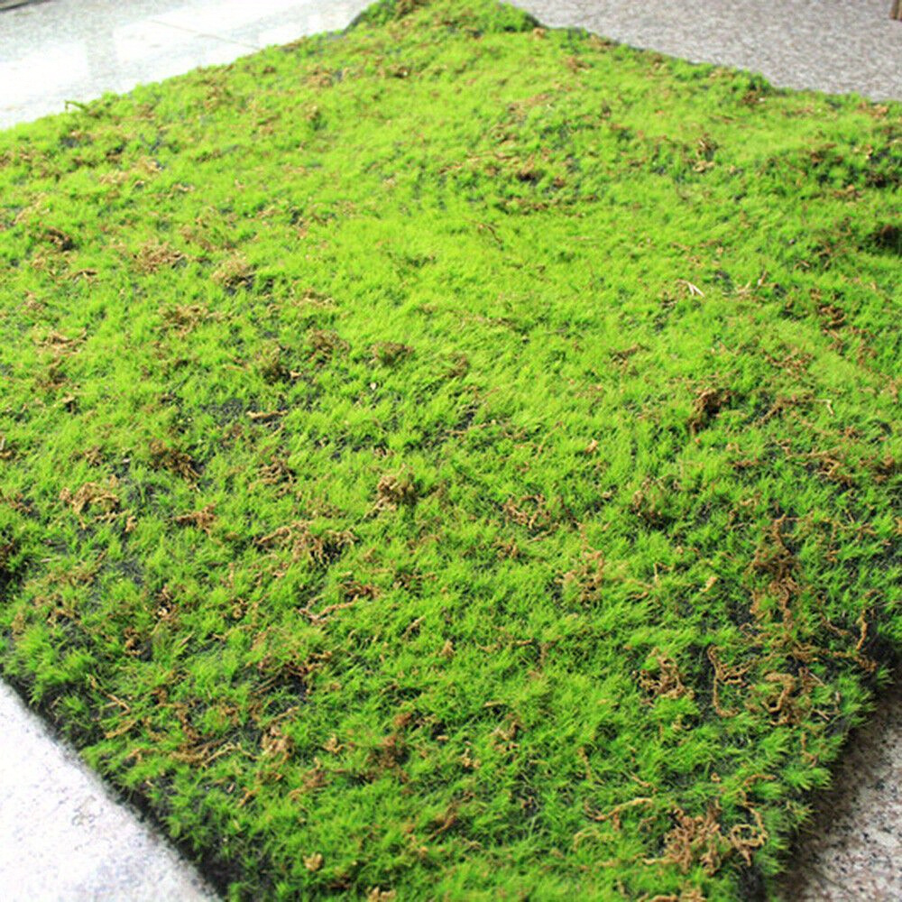 Image of 1set Artificial Turf Moss Green Plant Decorative Micro Landscape Garden
