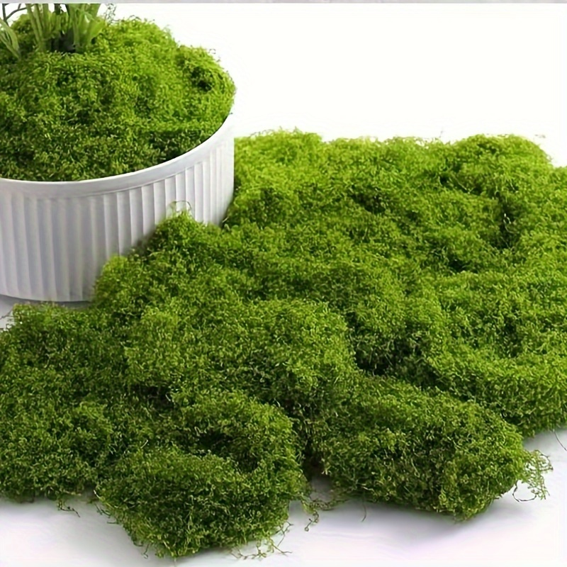 

100g Lifelike Artificial Moss For Diy Crafts & Home Decor - Plant Accent, Ideal For Indoor & Wedding Decorations