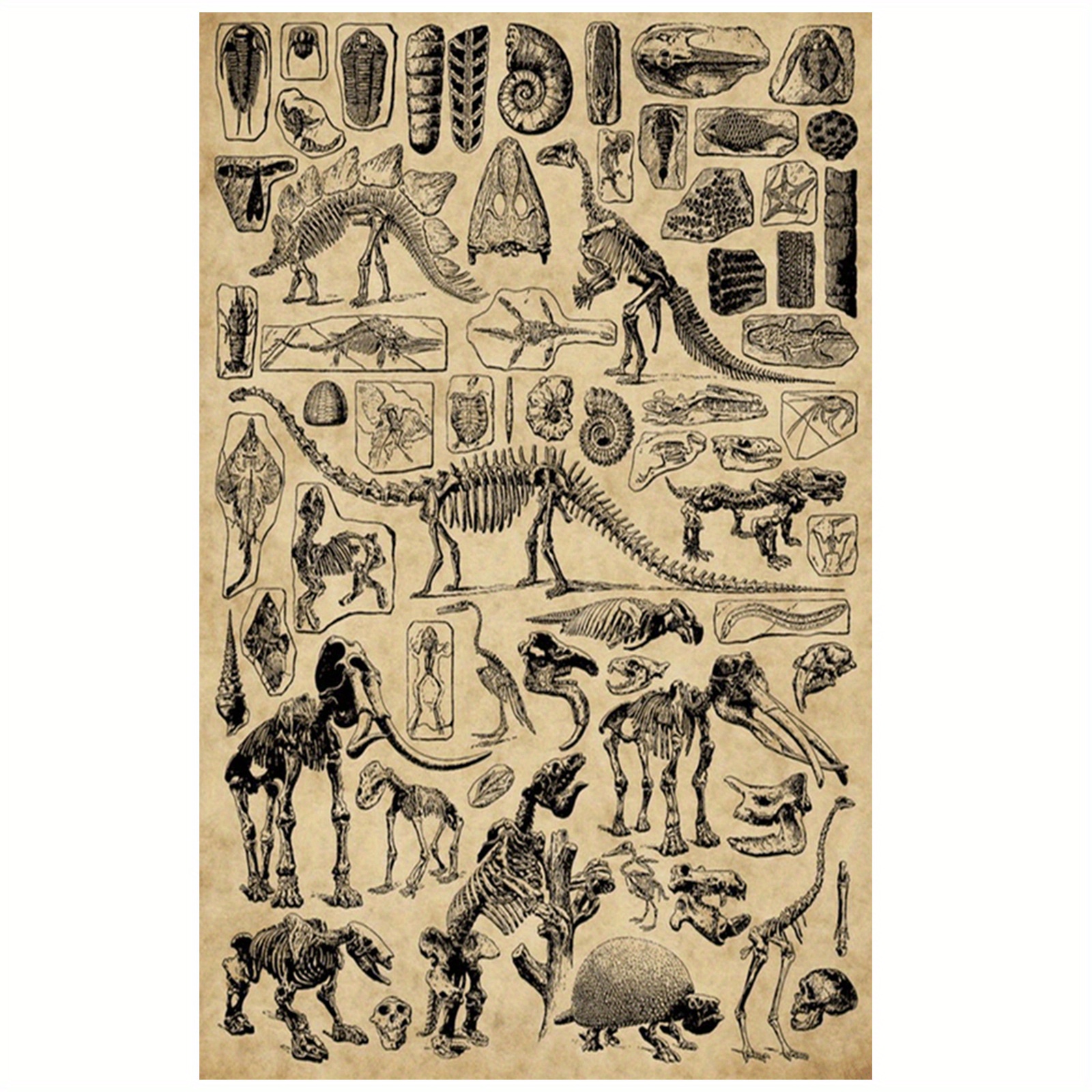 TEMU Affiche Guide de Paléontologie des Dinosaures Vintage - Art sur Toile Cadre 12x18" avec Préhistoriques Étiquetées, Parfait pour la Décoration de