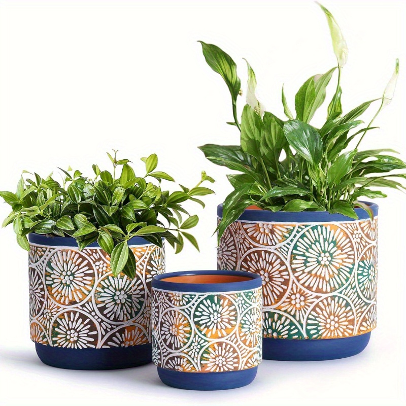 

3pcs Set Drainage , 5.7/4.7/3.5/, Decorative Plants , , Plants, Snake And