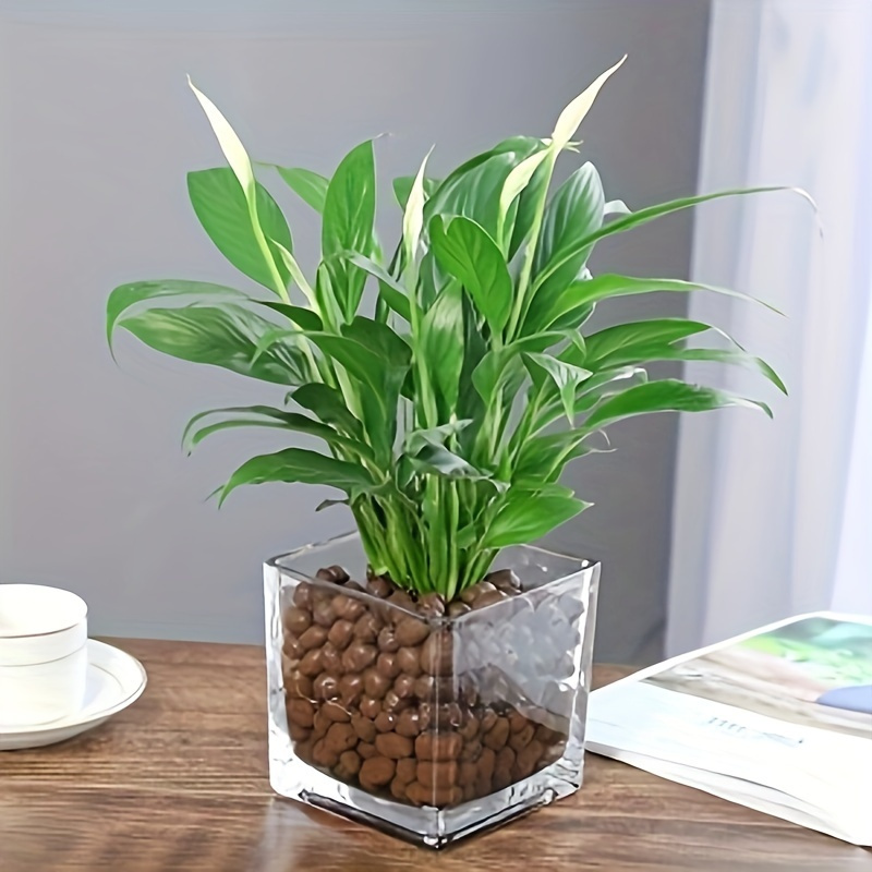 Legigo 9 Kg Expandierte Tonkiesel – 4–16 Mm, Leichtes Blähton-Granulat Für Hydrokultur, Orchideen & Garten