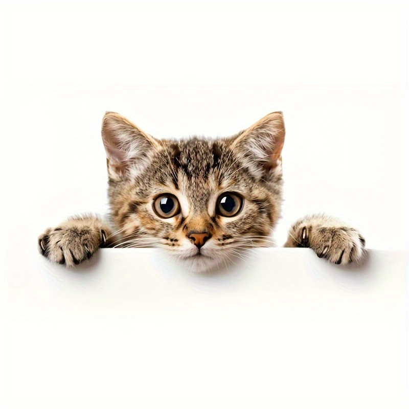 Realistic Cat Stickers - Cute And Designs For Cars, Motorcycles, Tablets And Phones | Durable Pvc