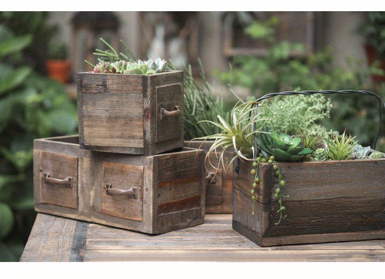 Giardino in legno carbonizzato piante succulente v... – Grandado