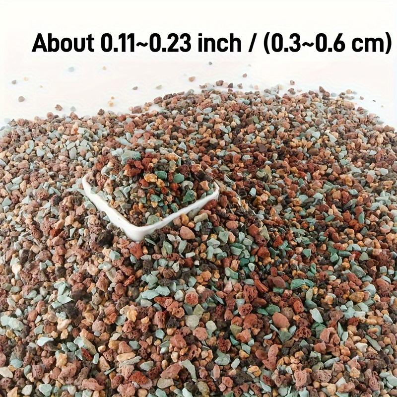 zimmerpflanze mit gedrehtem stamm Glückskastanie Pachira Aquatica Zimmerpflanze Ø19cm 90cm kaufen