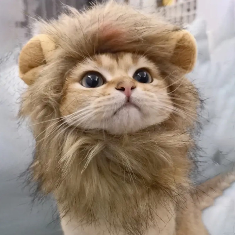 

Lion Mane Pet Costume For Cats - Soft Polyester, Fun Cosplay Accessory