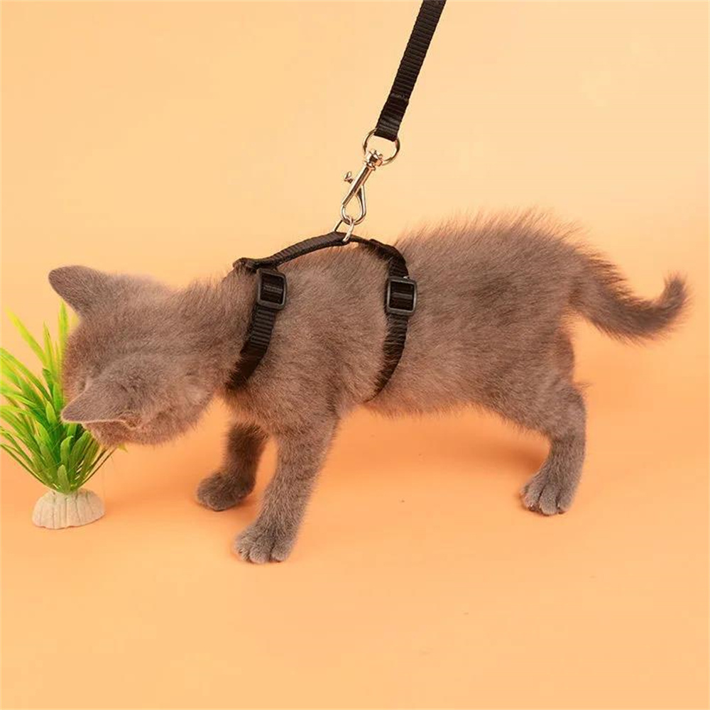 

Adjustable Harness And Leash Set - , Soft Polyester Fit For Kittens & Cats - Hand Wash Only