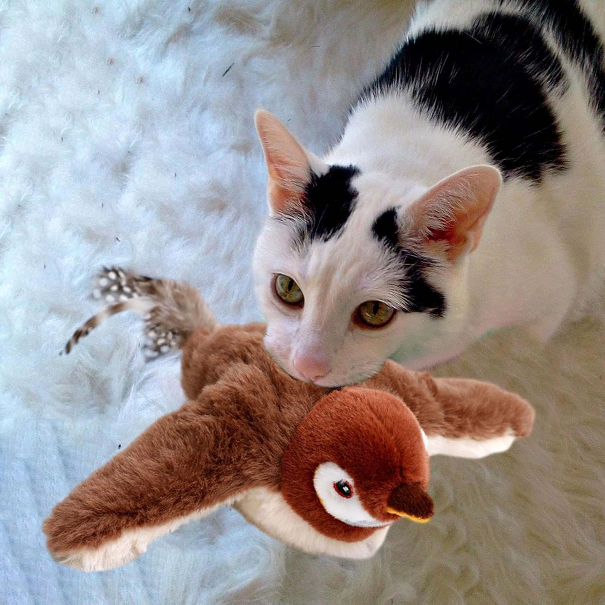 

Interactive Kitten Toy With Touch Activation - Robust Brown Sparrow With Flapping For Pet Training