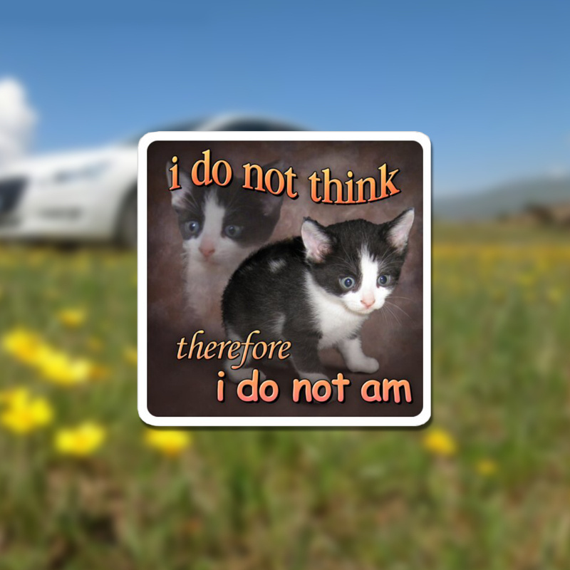 

Spoof Auto Vinyl Sticker Applique I Do Not For I Do Not Am 3*3in Vinyl Car Window Decals Uitable For Car Bumper, Notebook, Water Cup Waterproof, Dustproof, Sunscreen